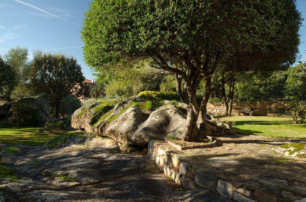 B&B Li Conchi Arzachena Εξωτερικό φωτογραφία